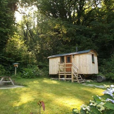 'Morris' The Shepherd'S Hut With Woodland Hot Tub Carmarthen Dış mekan fotoğraf