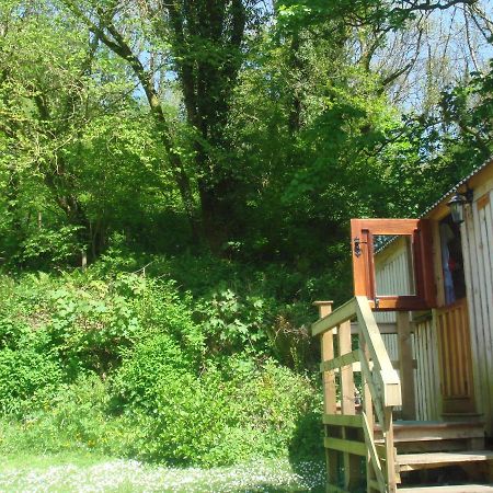 'Morris' The Shepherd'S Hut With Woodland Hot Tub Carmarthen Dış mekan fotoğraf