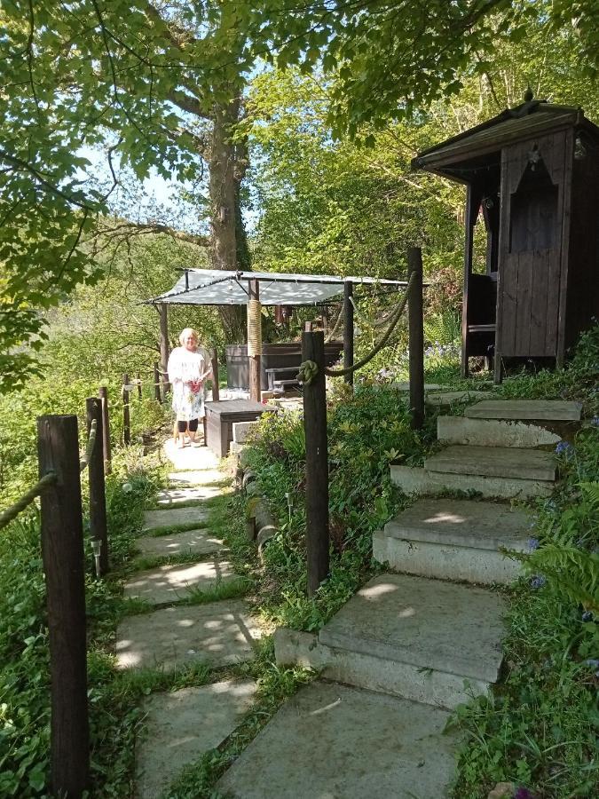 'Morris' The Shepherd'S Hut With Woodland Hot Tub Carmarthen Dış mekan fotoğraf