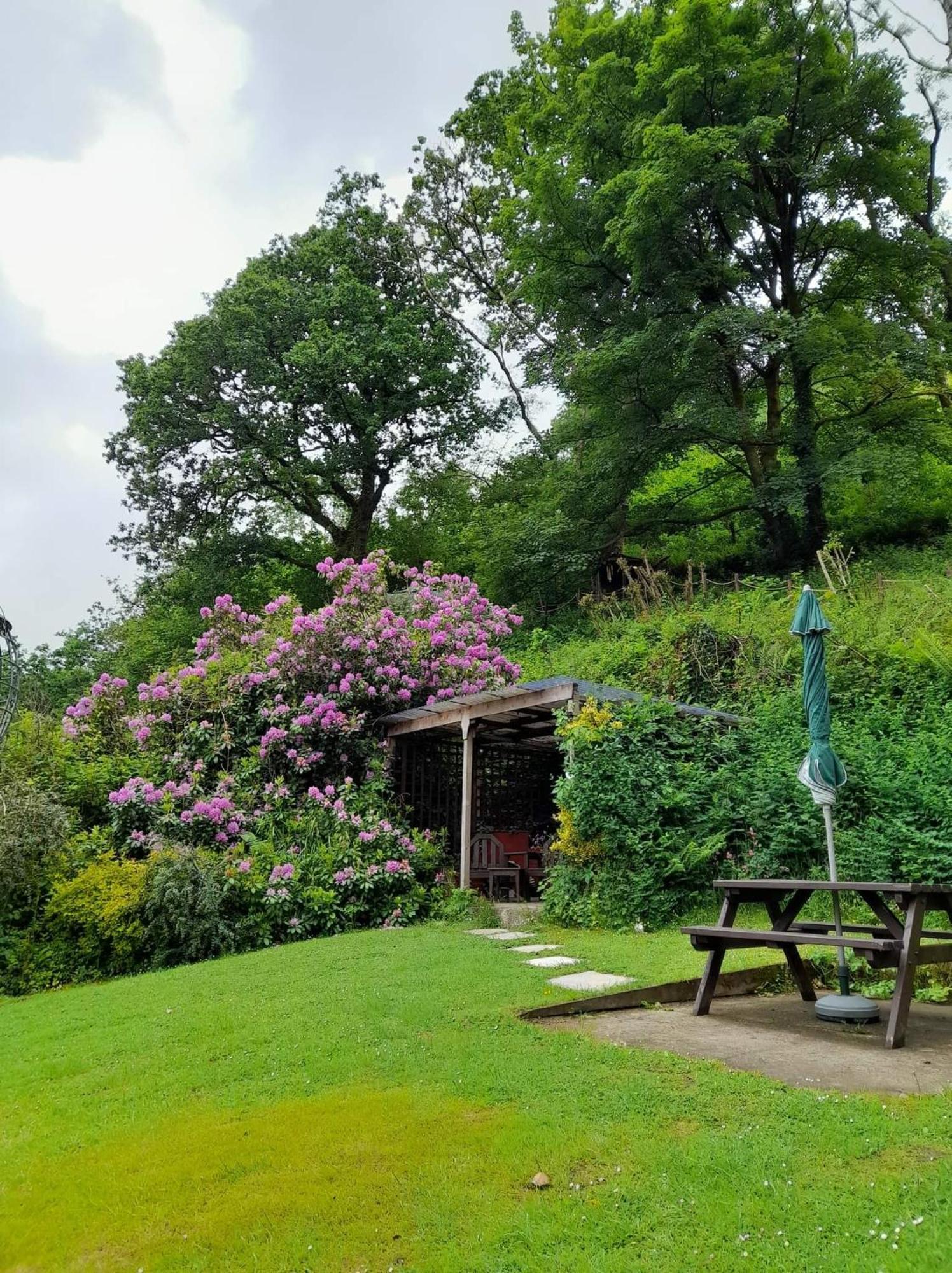 'Morris' The Shepherd'S Hut And Woodland Hot Tub Experience Carmarthen Dış mekan fotoğraf
