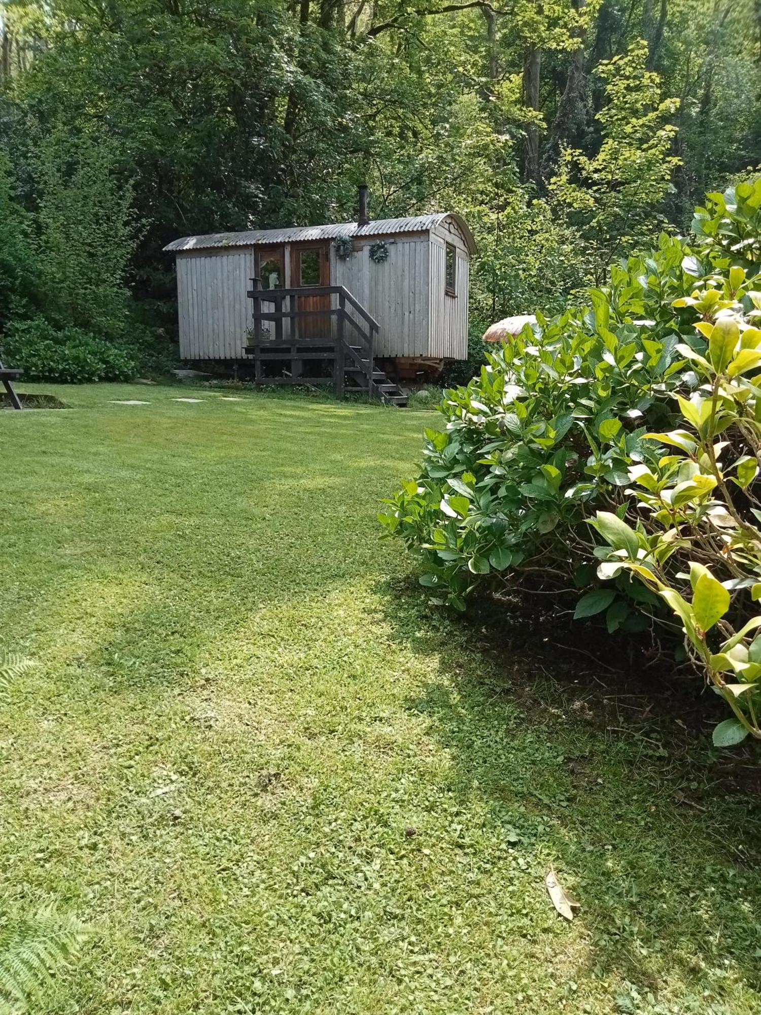 'Morris' The Shepherd'S Hut And Woodland Hot Tub Experience Carmarthen Dış mekan fotoğraf