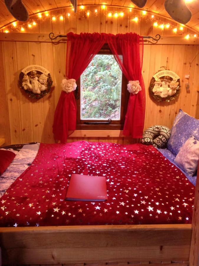 'Morris' The Shepherd'S Hut And Woodland Hot Tub Experience Carmarthen Dış mekan fotoğraf