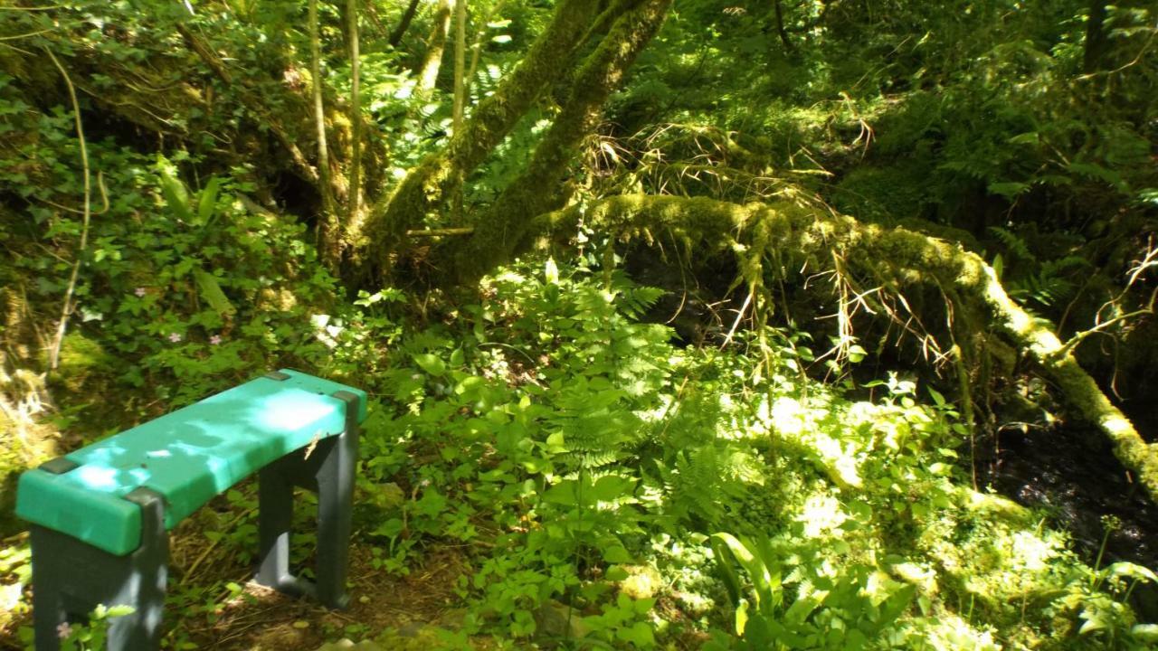 'Morris' The Shepherd'S Hut With Woodland Hot Tub Carmarthen Dış mekan fotoğraf