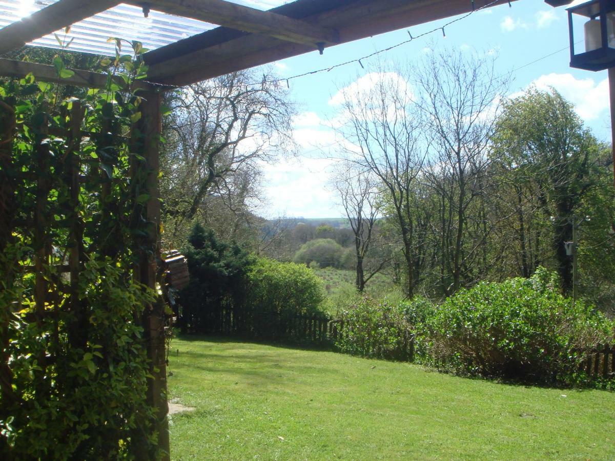 'Morris' The Shepherd'S Hut And Woodland Hot Tub Experience Carmarthen Dış mekan fotoğraf