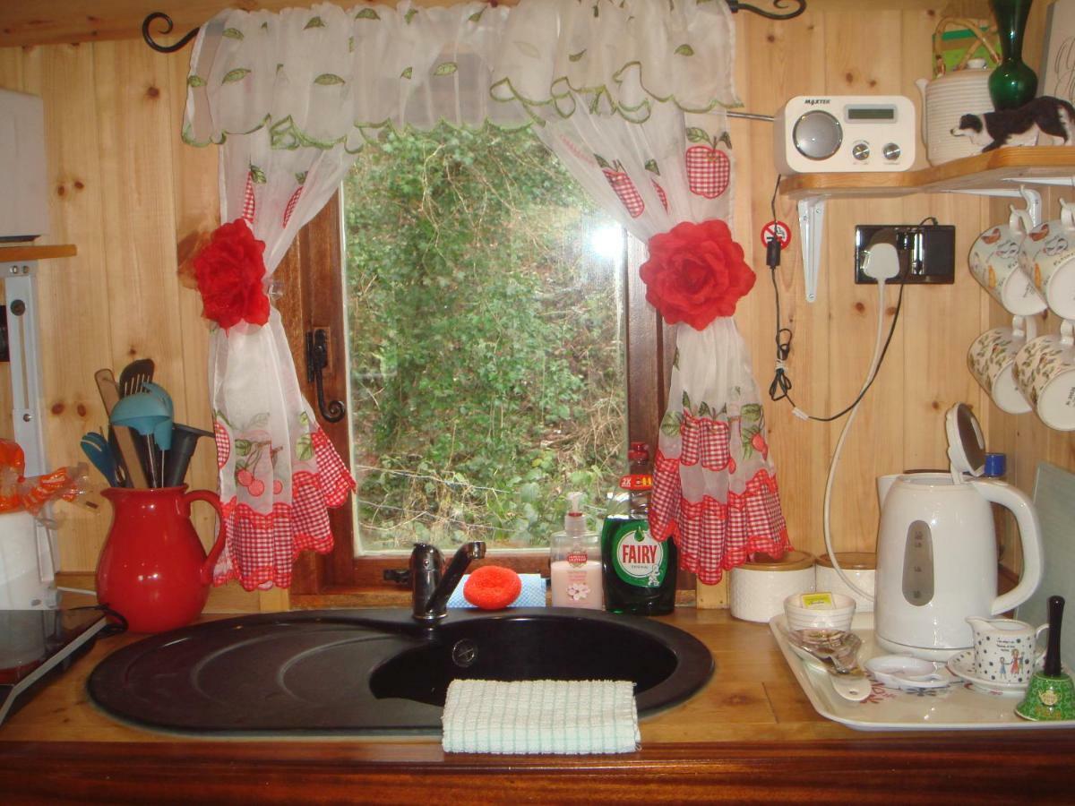 'Morris' The Shepherd'S Hut With Woodland Hot Tub Carmarthen Dış mekan fotoğraf