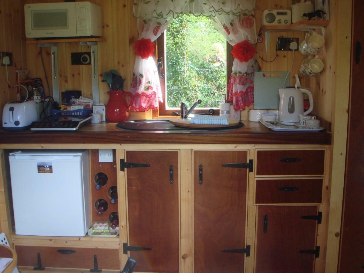 'Morris' The Shepherd'S Hut And Woodland Hot Tub Experience Carmarthen Dış mekan fotoğraf