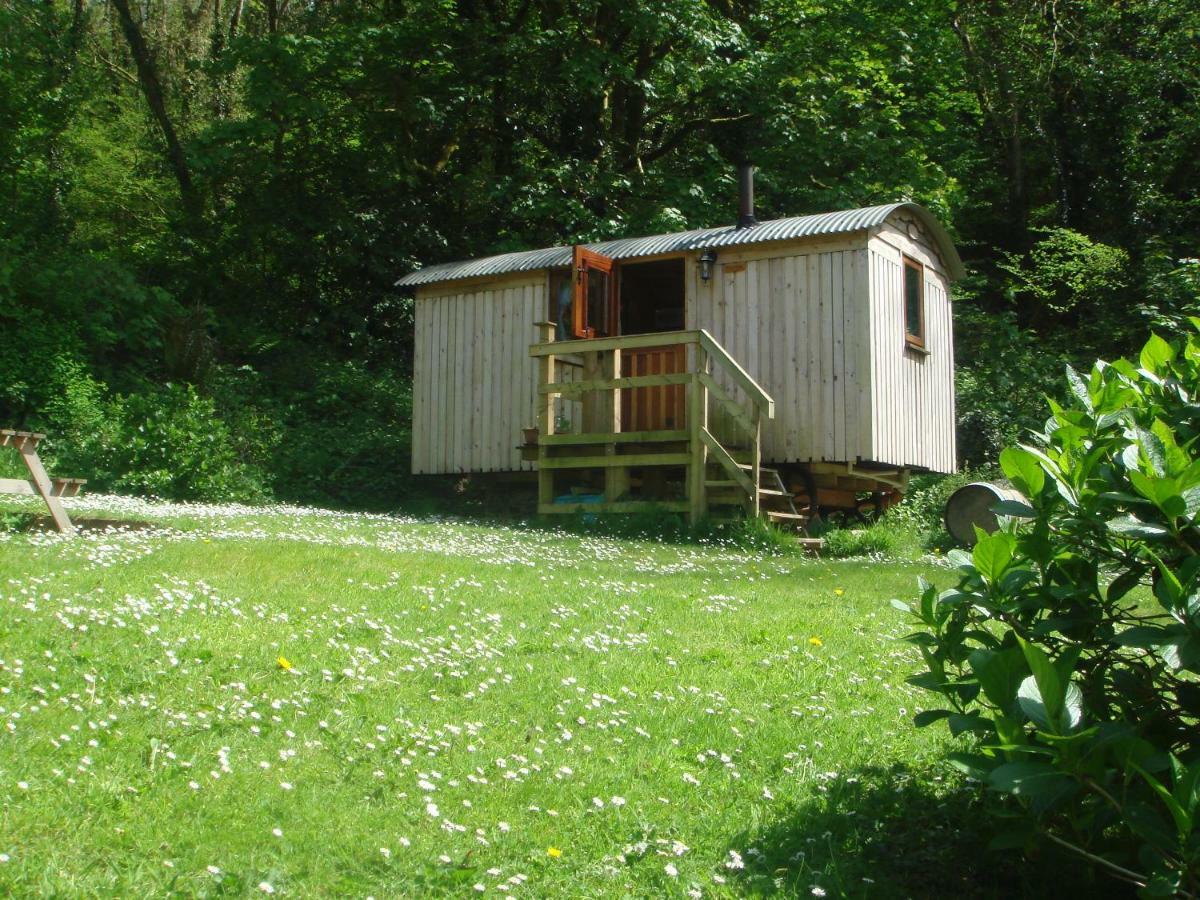 'Morris' The Shepherd'S Hut With Woodland Hot Tub Carmarthen Dış mekan fotoğraf