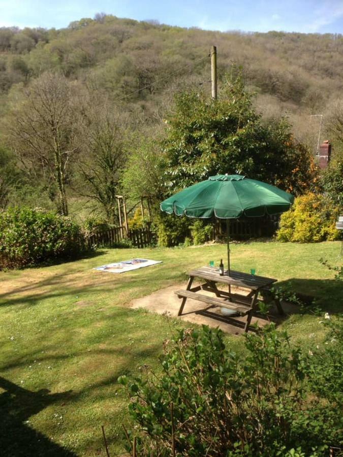 'Morris' The Shepherd'S Hut With Woodland Hot Tub Carmarthen Dış mekan fotoğraf