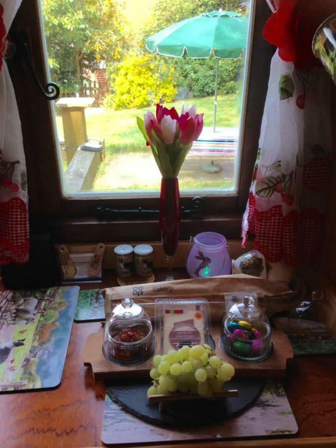 'Morris' The Shepherd'S Hut With Woodland Hot Tub Carmarthen Dış mekan fotoğraf