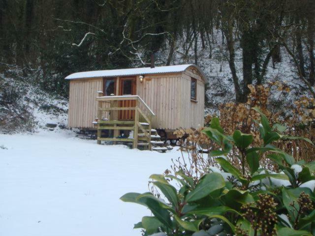 'Morris' The Shepherd'S Hut With Woodland Hot Tub Carmarthen Dış mekan fotoğraf