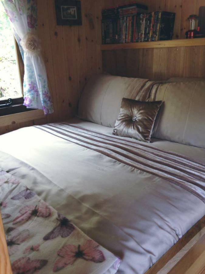 'Morris' The Shepherd'S Hut With Woodland Hot Tub Carmarthen Dış mekan fotoğraf