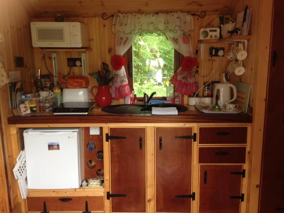 'Morris' The Shepherd'S Hut With Woodland Hot Tub Carmarthen Dış mekan fotoğraf