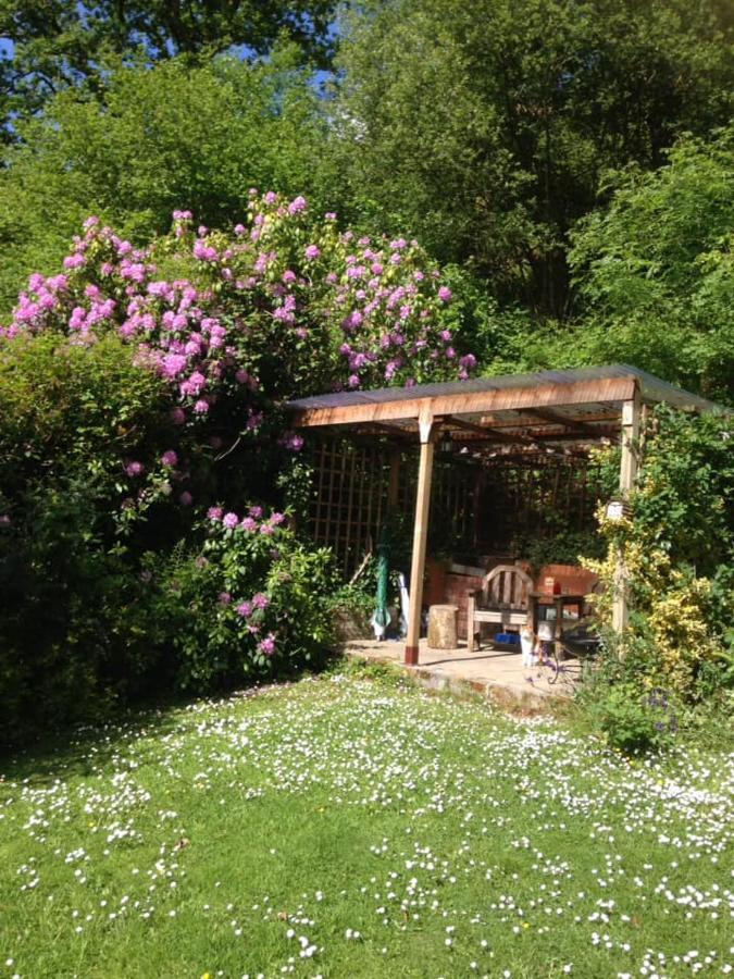 'Morris' The Shepherd'S Hut With Woodland Hot Tub Carmarthen Dış mekan fotoğraf