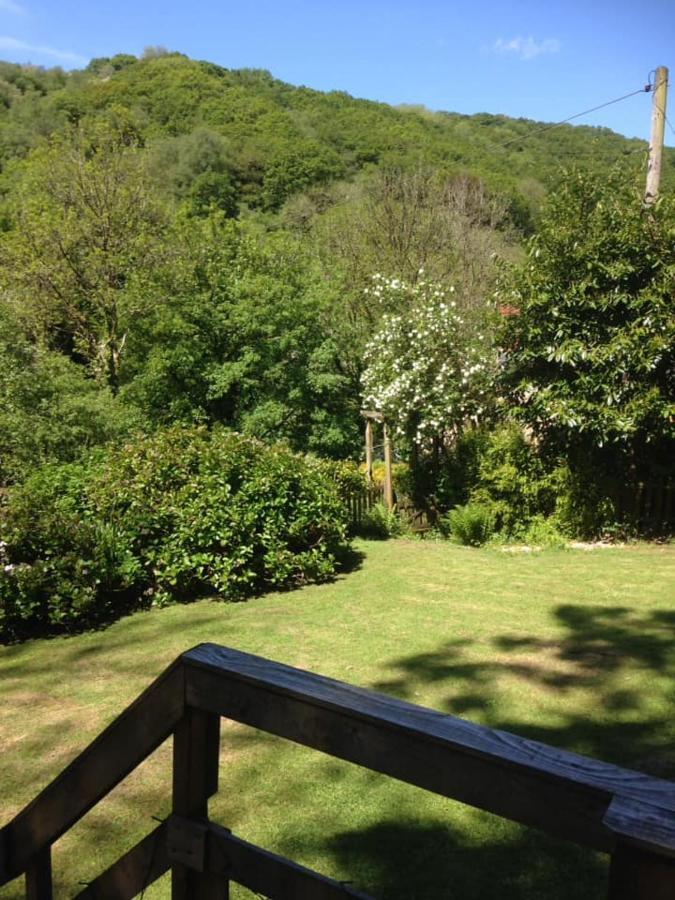 'Morris' The Shepherd'S Hut With Woodland Hot Tub Carmarthen Dış mekan fotoğraf