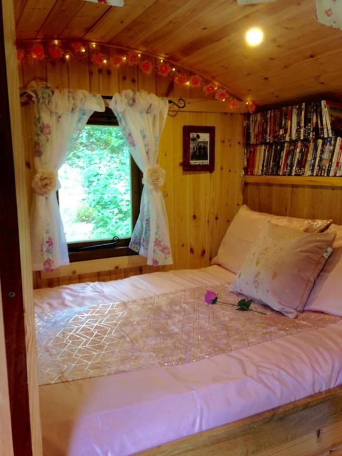 'Morris' The Shepherd'S Hut With Woodland Hot Tub Carmarthen Dış mekan fotoğraf