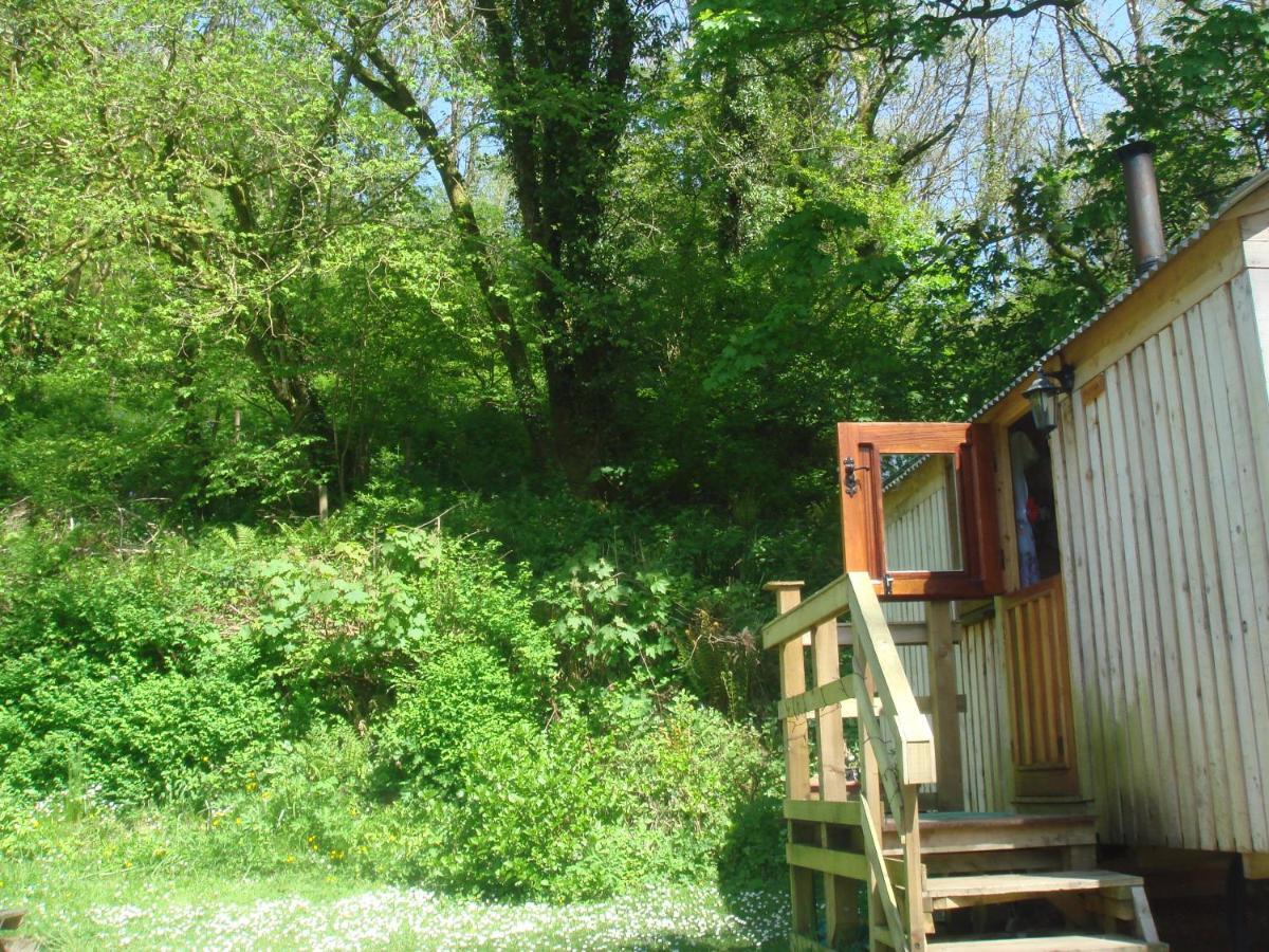 'Morris' The Shepherd'S Hut With Woodland Hot Tub Carmarthen Dış mekan fotoğraf