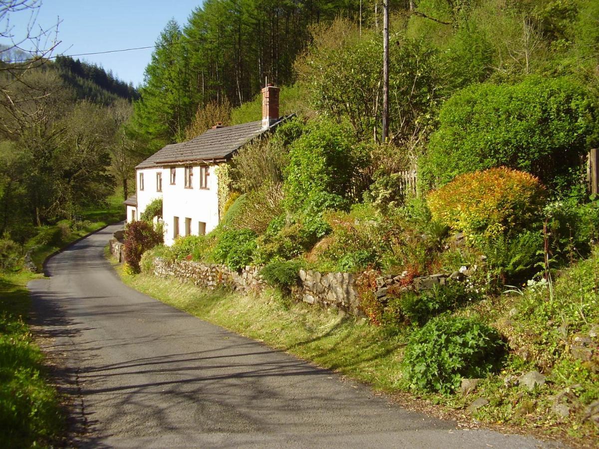 'Morris' The Shepherd'S Hut And Woodland Hot Tub Experience Carmarthen Dış mekan fotoğraf